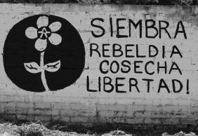 siembra-rebeldc3ada-282x194